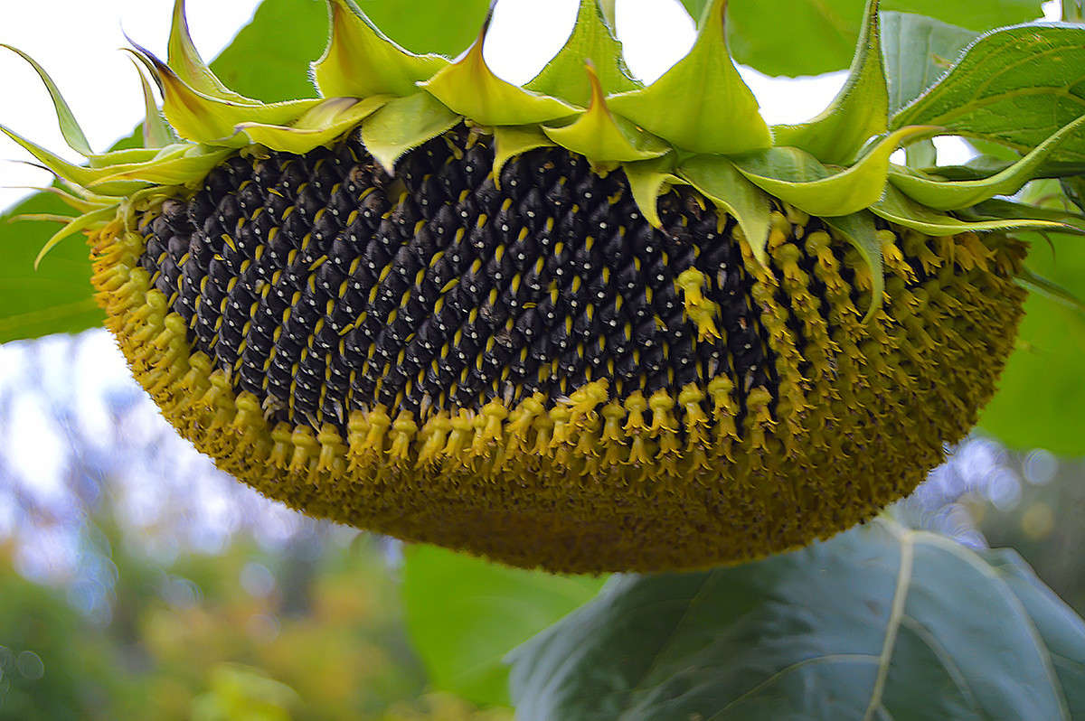 ���������� ������� ����� ������  �� PhotoGeek.ru #������ ��� �������