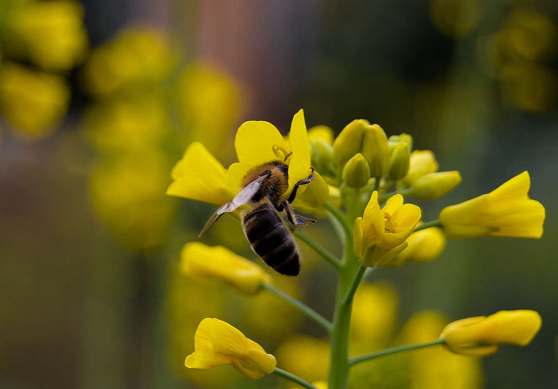 ��� ��� �������? ����� ������  �� PhotoGeek.ru #����� #�������� ��� #������ ��� �������