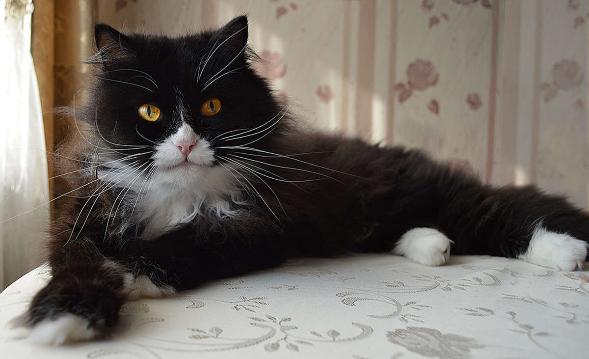 ����� ����������? ����� ������  �� PhotoGeek.ru #�������� ��� #�������� ���