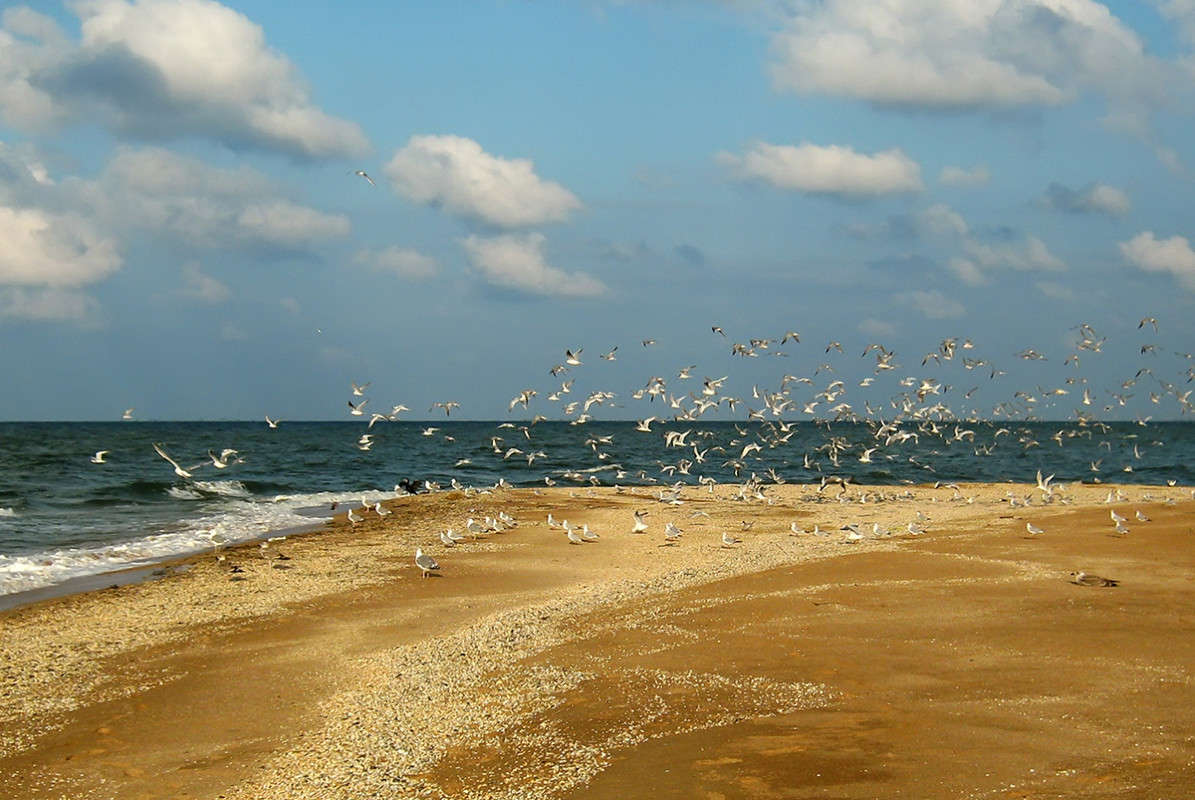 ������ ����� ����� ������  �� PhotoGeek.ru #�������� ��� #������ ��� �������