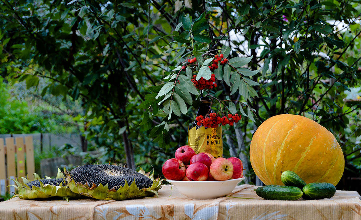 ���� ����� ����� ������  �� PhotoGeek.ru #���������