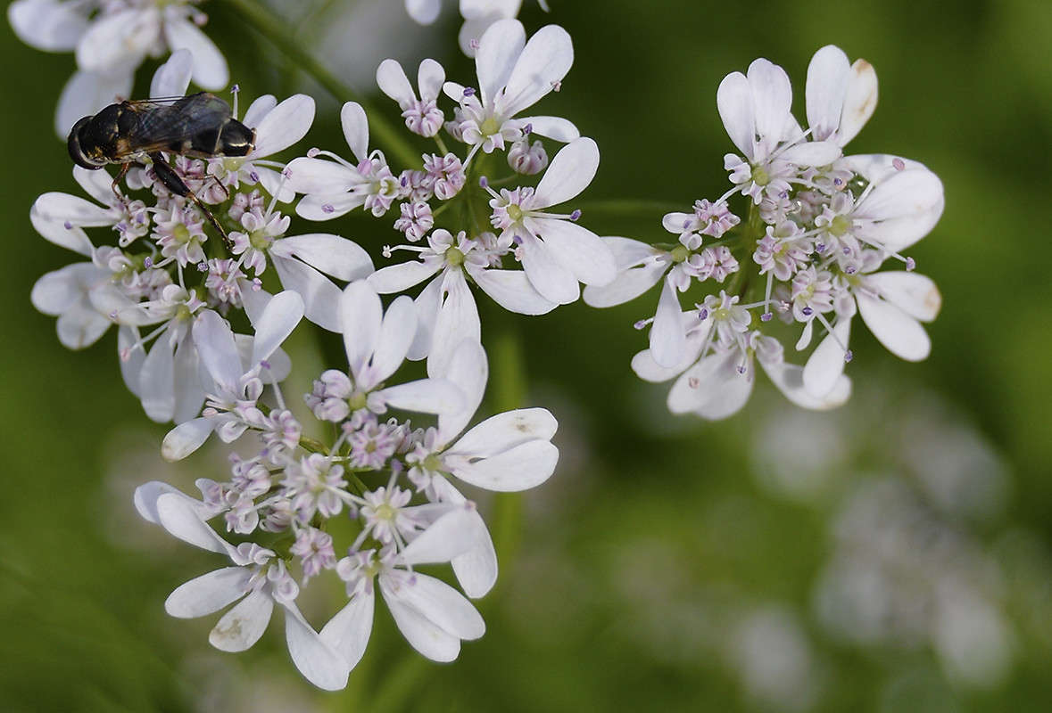 ... ����� ������  �� PhotoGeek.ru #������ ��� �������