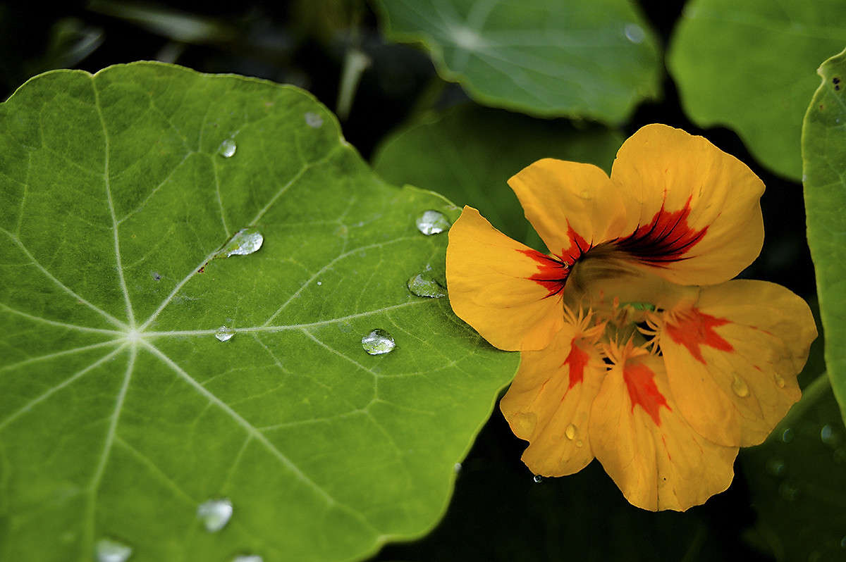 ... ����� ������  �� PhotoGeek.ru #������ ��� �������