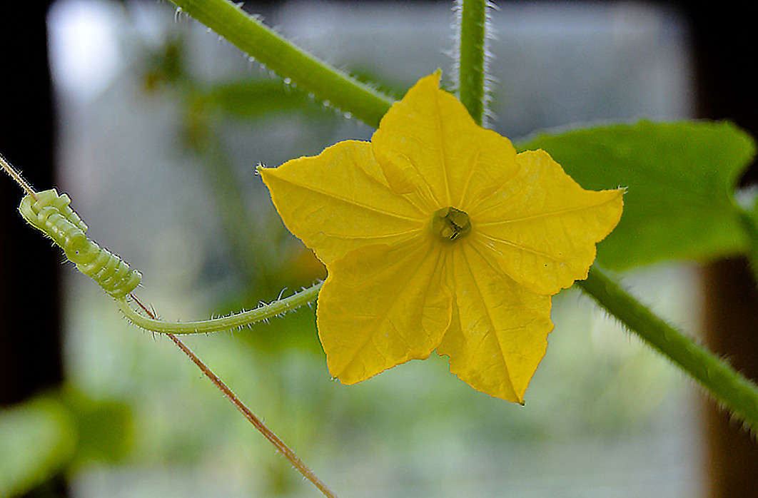 �������� �� ������� ����� ������  �� PhotoGeek.ru #������ ��� �������