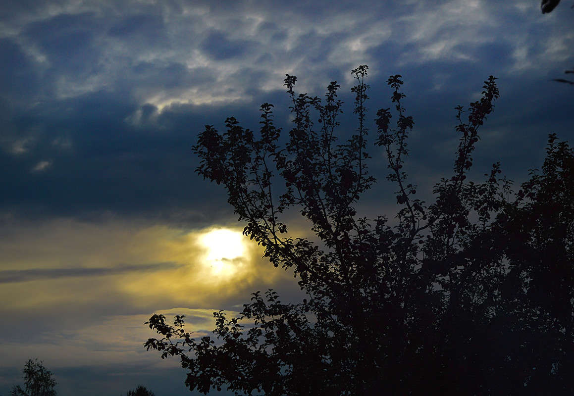 ... ����� ������  �� PhotoGeek.ru #������ ��� �������