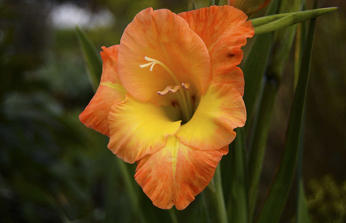 ����� ����� ������  �� PhotoGeek.ru #������ ��� �������