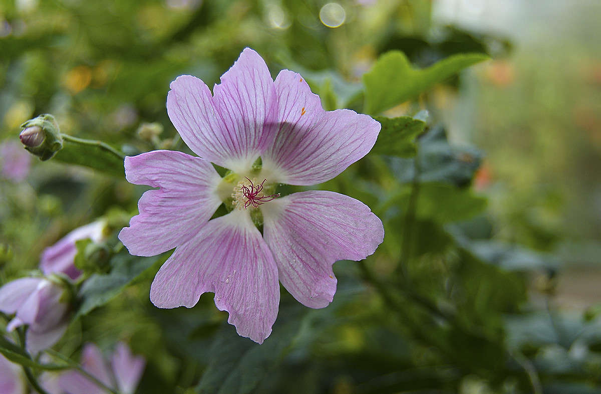 ������� ����� ������  �� PhotoGeek.ru #������ ��� �������