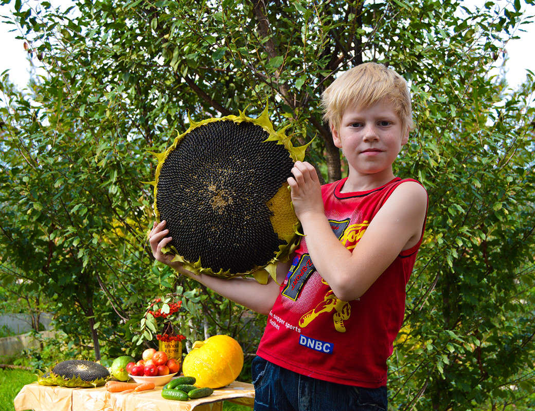 ��� �������� ����� ������  �� PhotoGeek.ru #������ ��� ������� #�������