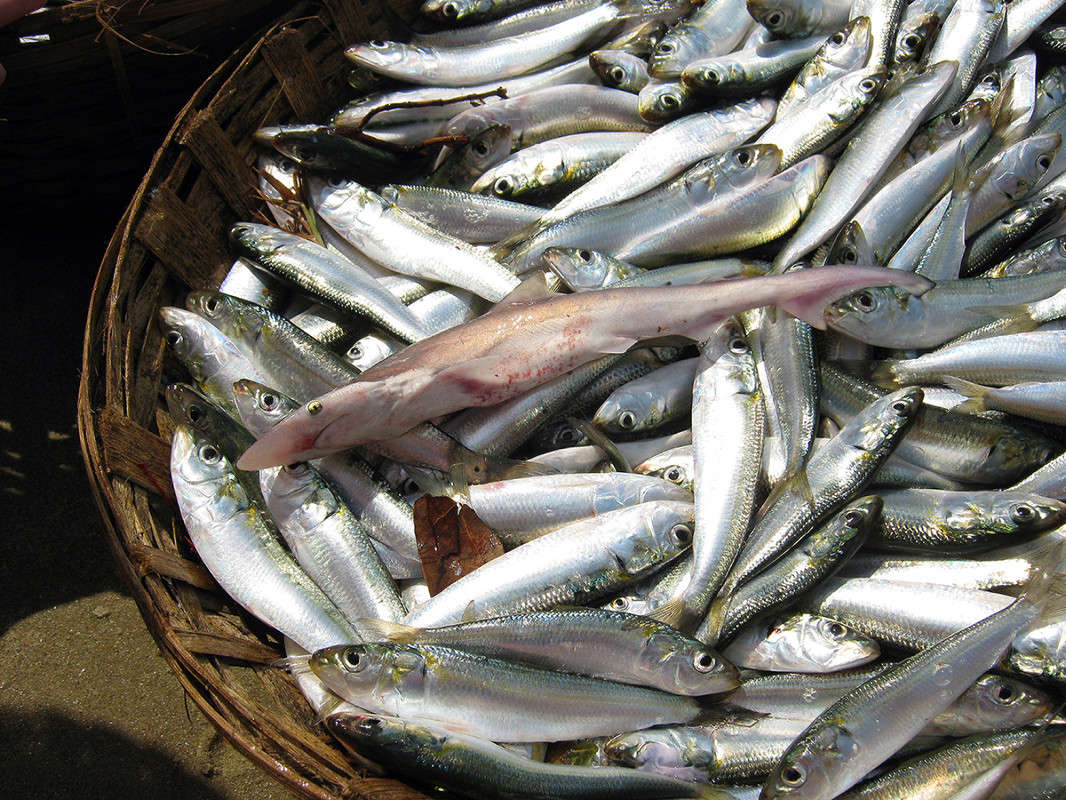 ���� ����� ������  �� PhotoGeek.ru #�������� ���