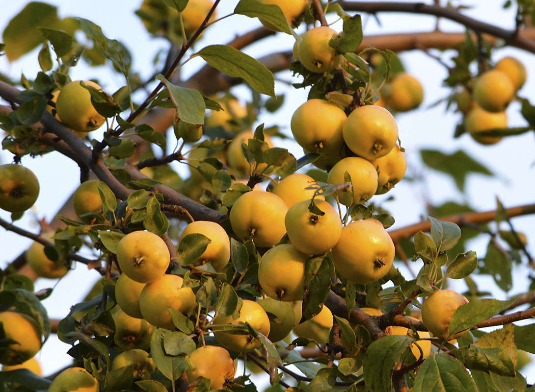 ������ ����� ������  �� PhotoGeek.ru #������ ��� �������