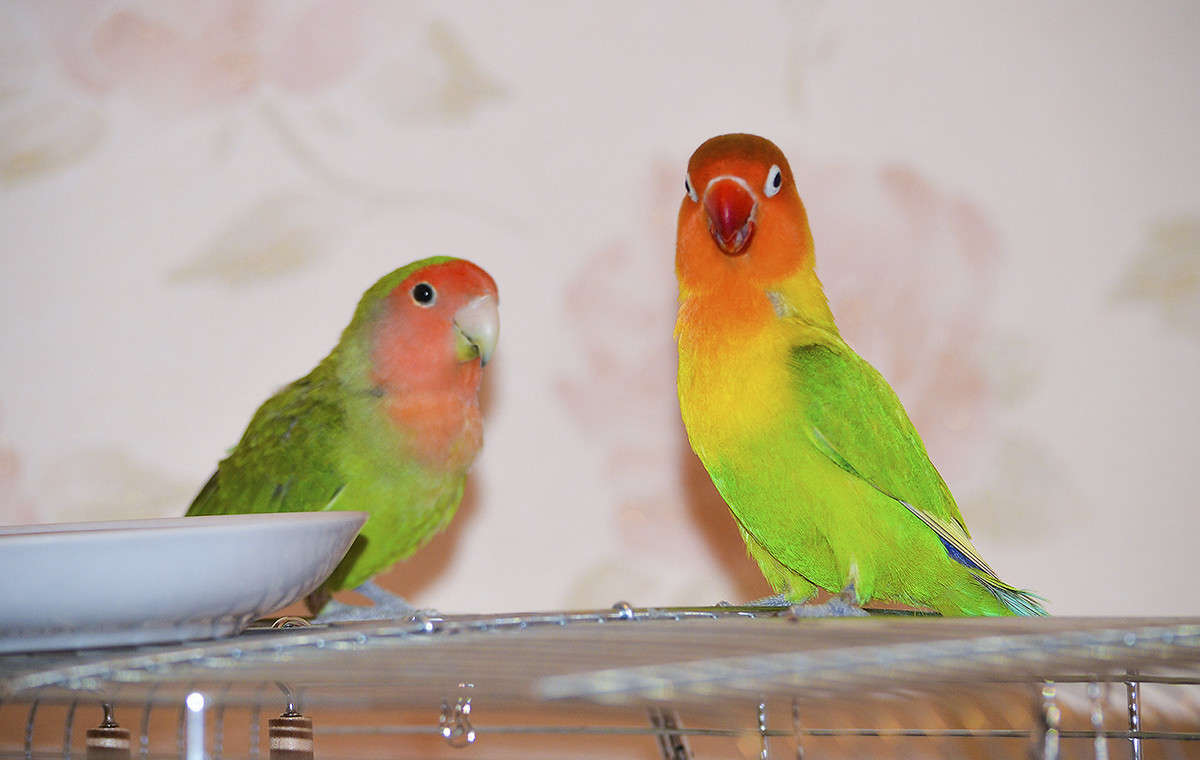 �! ���� �������! ����� ������  �� PhotoGeek.ru #�������� ��� #����� ��� ��� ���������