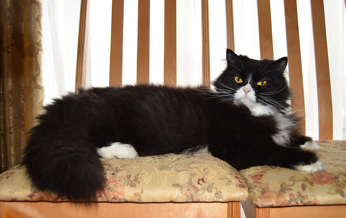 ��� ����� ��� ������ ����� ����� ������  �� PhotoGeek.ru #�������� ��� #�������� ���