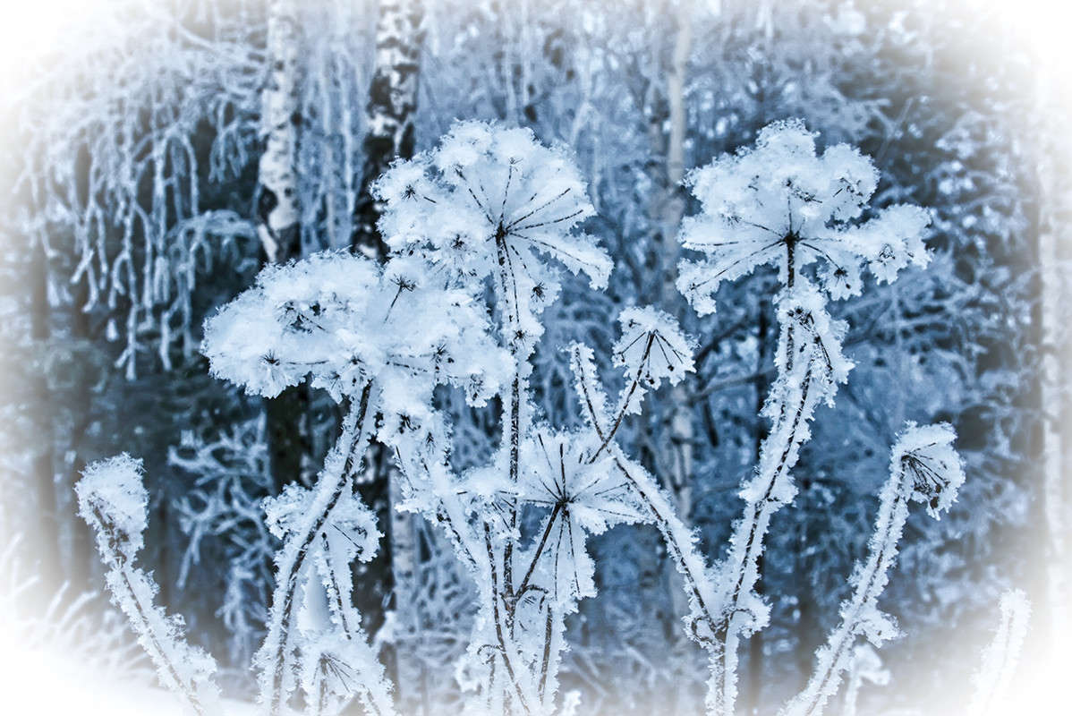 ������ ����� ����� ������  �� PhotoGeek.ru #������ ��� ������� #���������