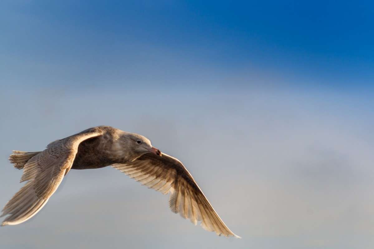 ����� ����� ���� ���������� �� PhotoGeek.ru #�������� ���