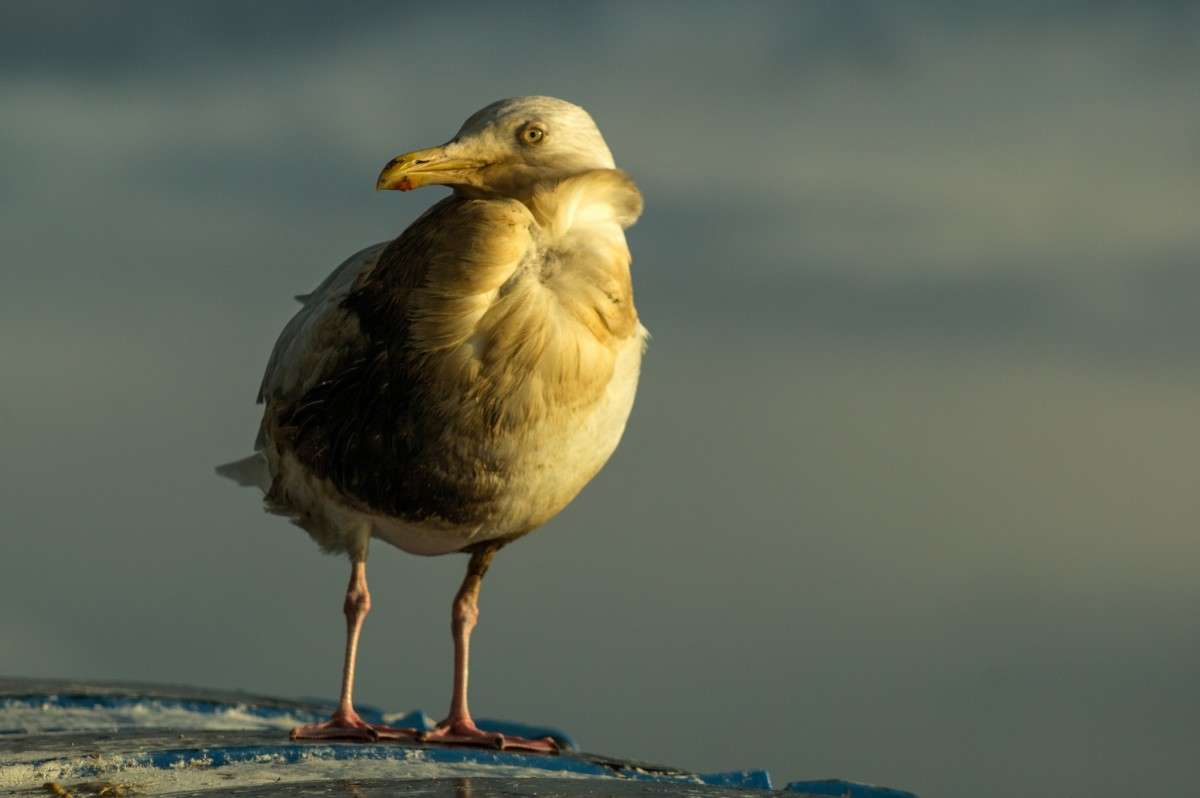 ����� ����� ���� ���������� �� PhotoGeek.ru #����� �����