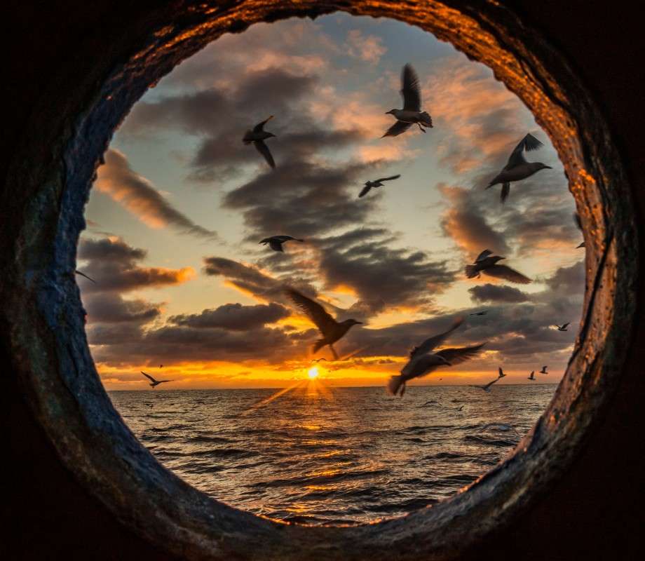 ���� � ���� ����� ���� ���������� �� PhotoGeek.ru #������ ��� �������