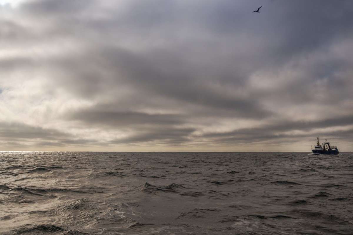 ����� ����� ���� ���������� �� PhotoGeek.ru #������ ��� �������