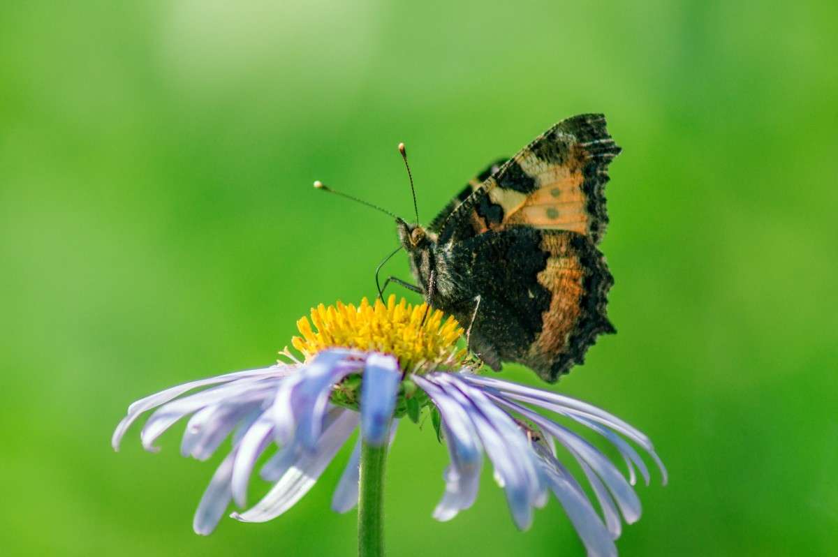 ������� ����� ���� ���������� �� PhotoGeek.ru #�����