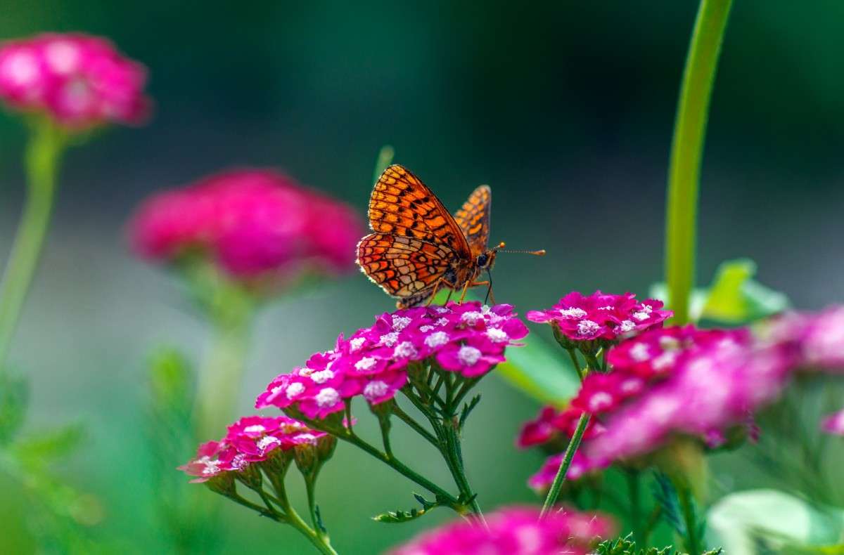 ������� ����� ���� ���������� �� PhotoGeek.ru #�����