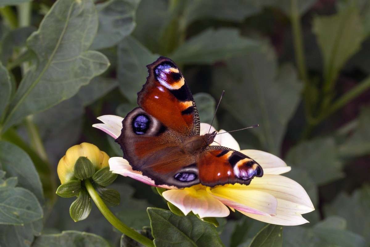 ... ����� ���� ���������� �� PhotoGeek.ru #�����