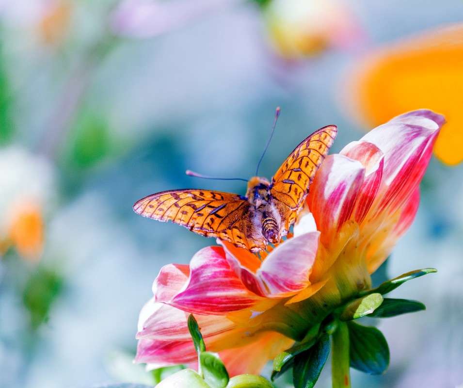 ... ����� ���� ���������� �� PhotoGeek.ru #�����