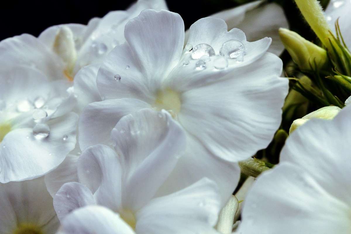 ����� ����� ���� ���������� �� PhotoGeek.ru #�����