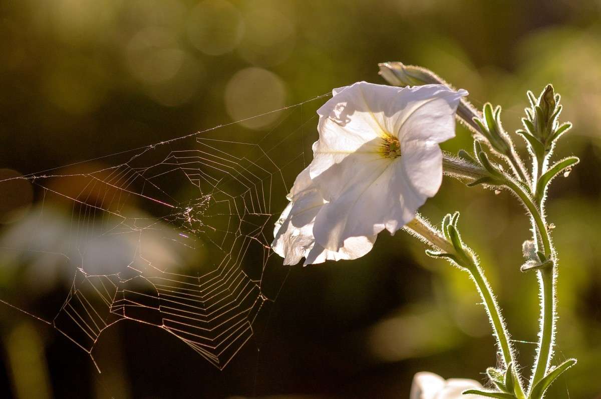 ����� ����� ���� ���������� �� PhotoGeek.ru #�����