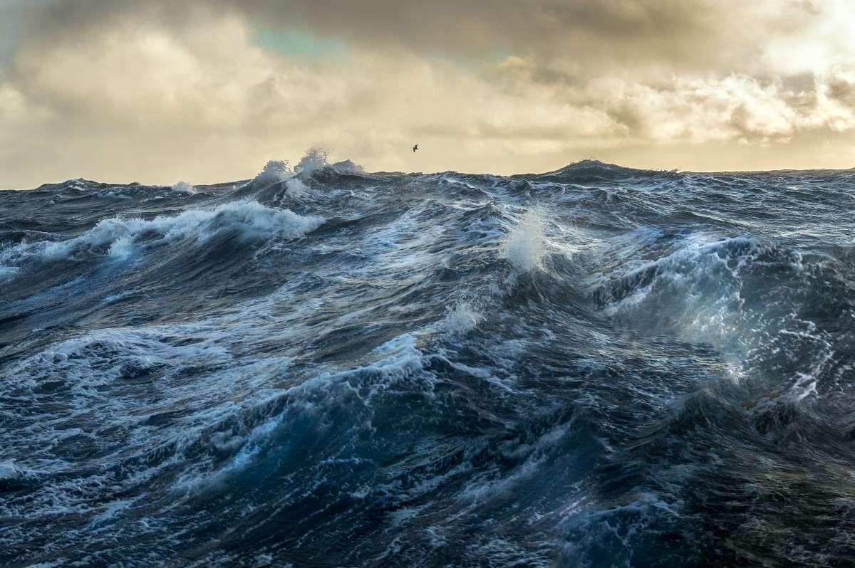 � ���� ����� ���� ���������� �� PhotoGeek.ru #������ ��� �������