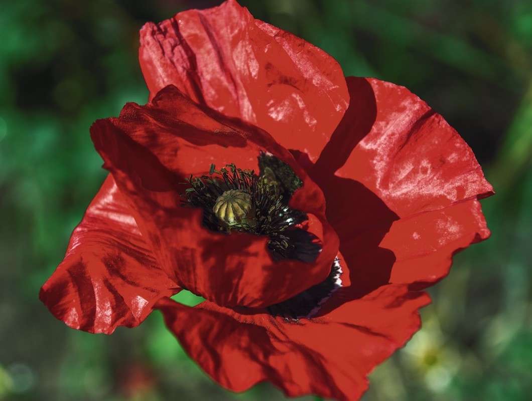 ��� ����� ���� ���������� �� PhotoGeek.ru #�����