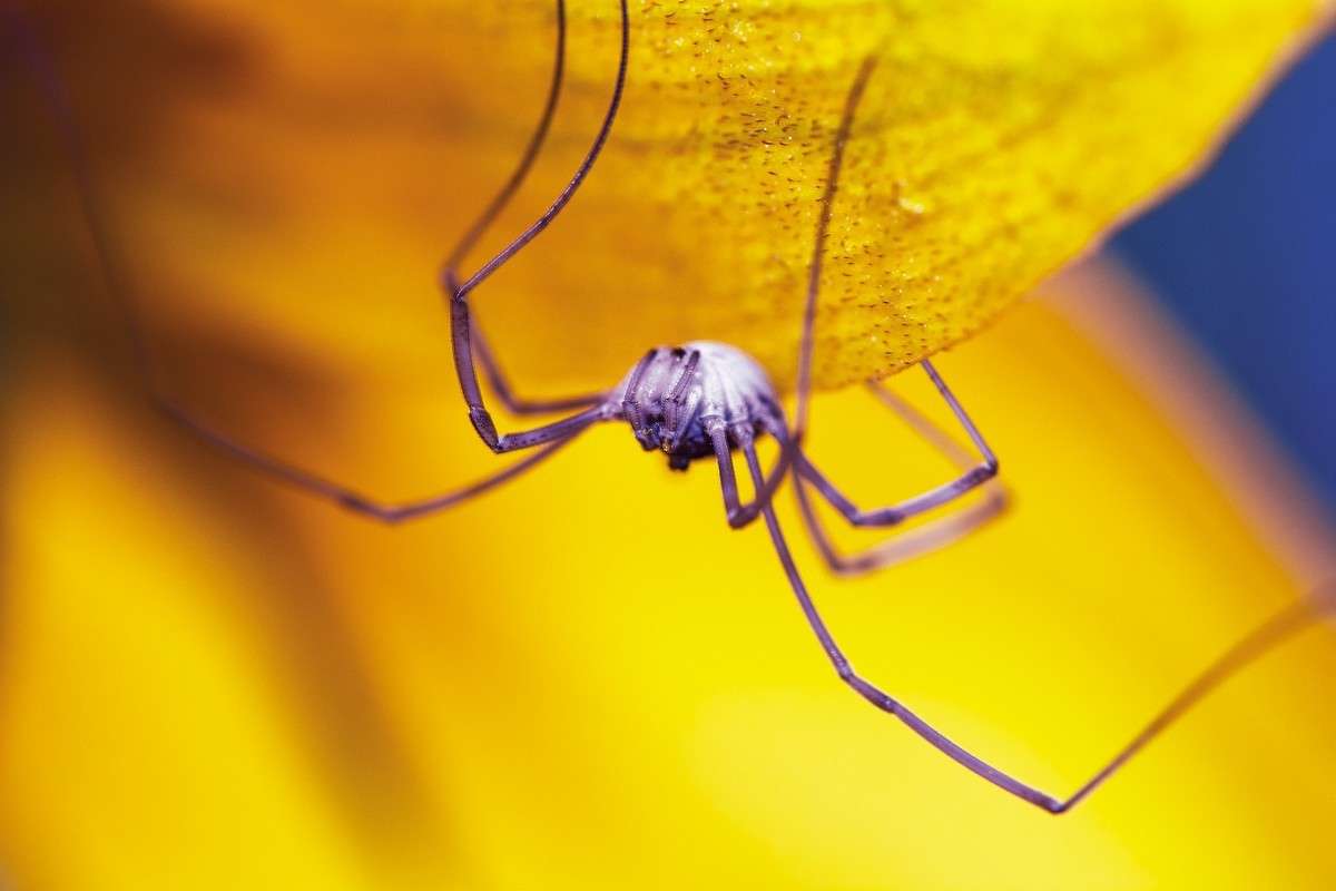 ������ ����� ���� ���������� �� PhotoGeek.ru #�����