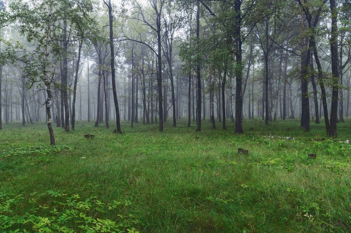 ��� ����� ���� ���������� �� PhotoGeek.ru #������ ��� �������