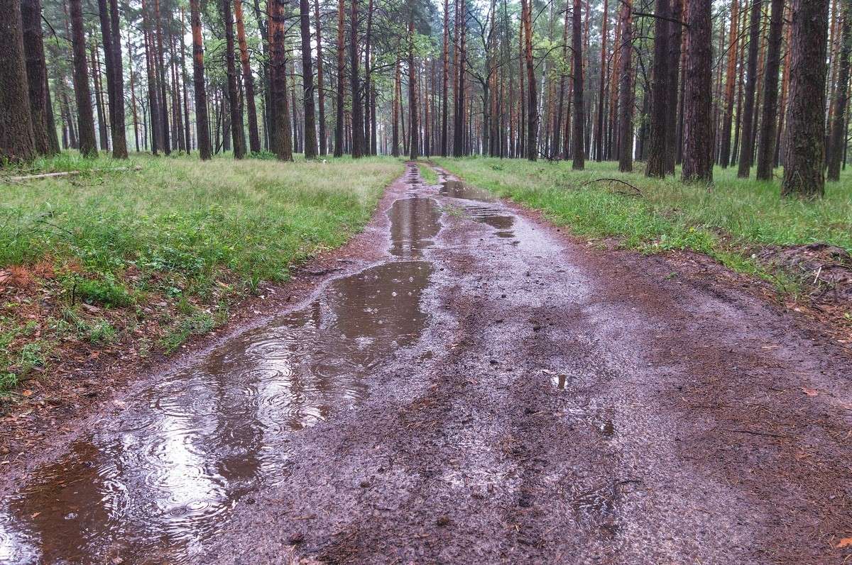 ����� ����� ����� ���� ���������� �� PhotoGeek.ru #������ ��� �������