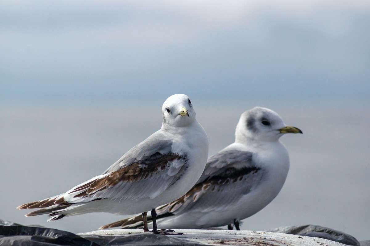 ����� ����� ���� ���������� �� PhotoGeek.ru #�������� ���