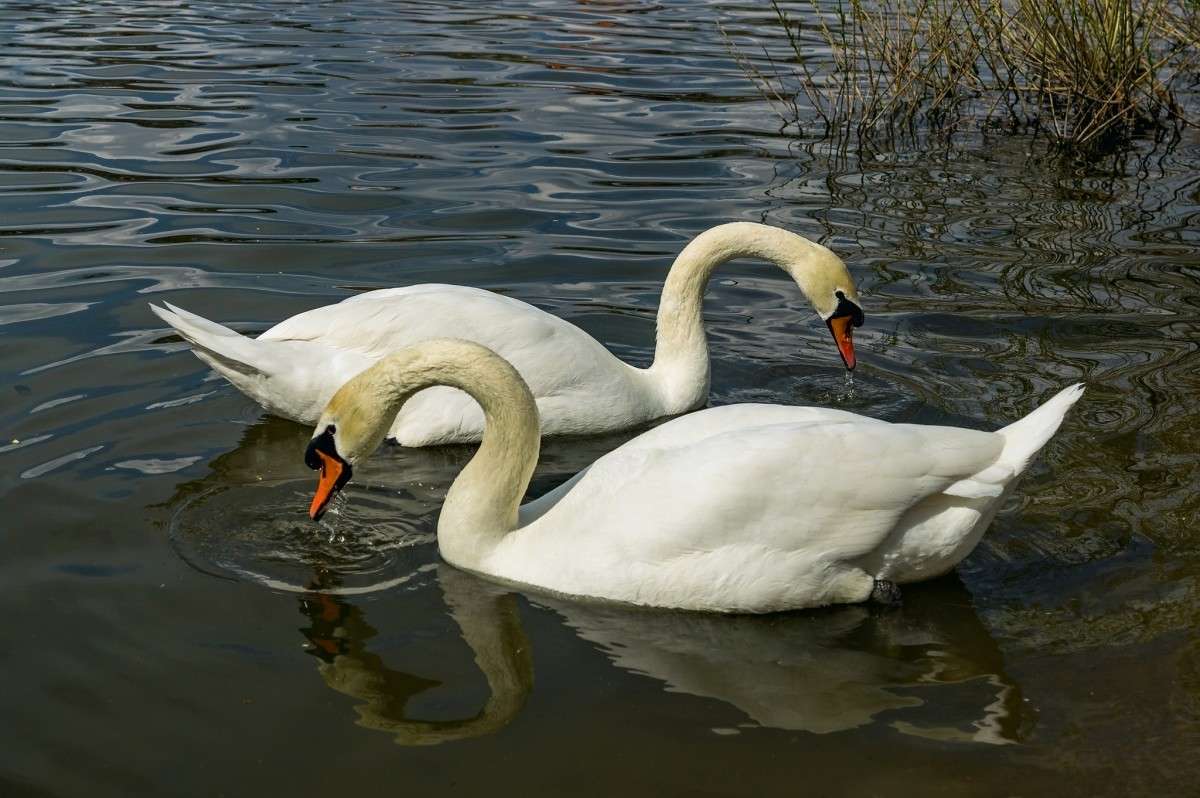 ������ ����� ���� ���������� �� PhotoGeek.ru #�������� ���