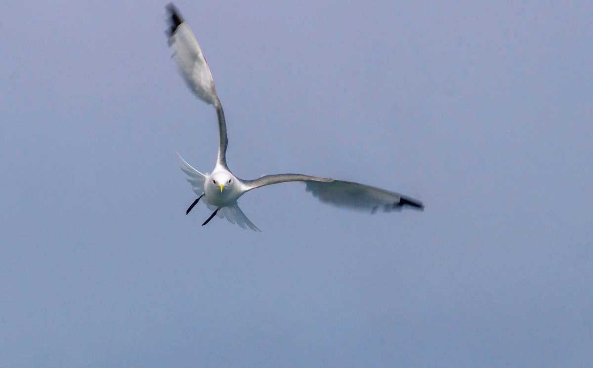 ���� ����� ���� ���������� �� PhotoGeek.ru #�������� ���