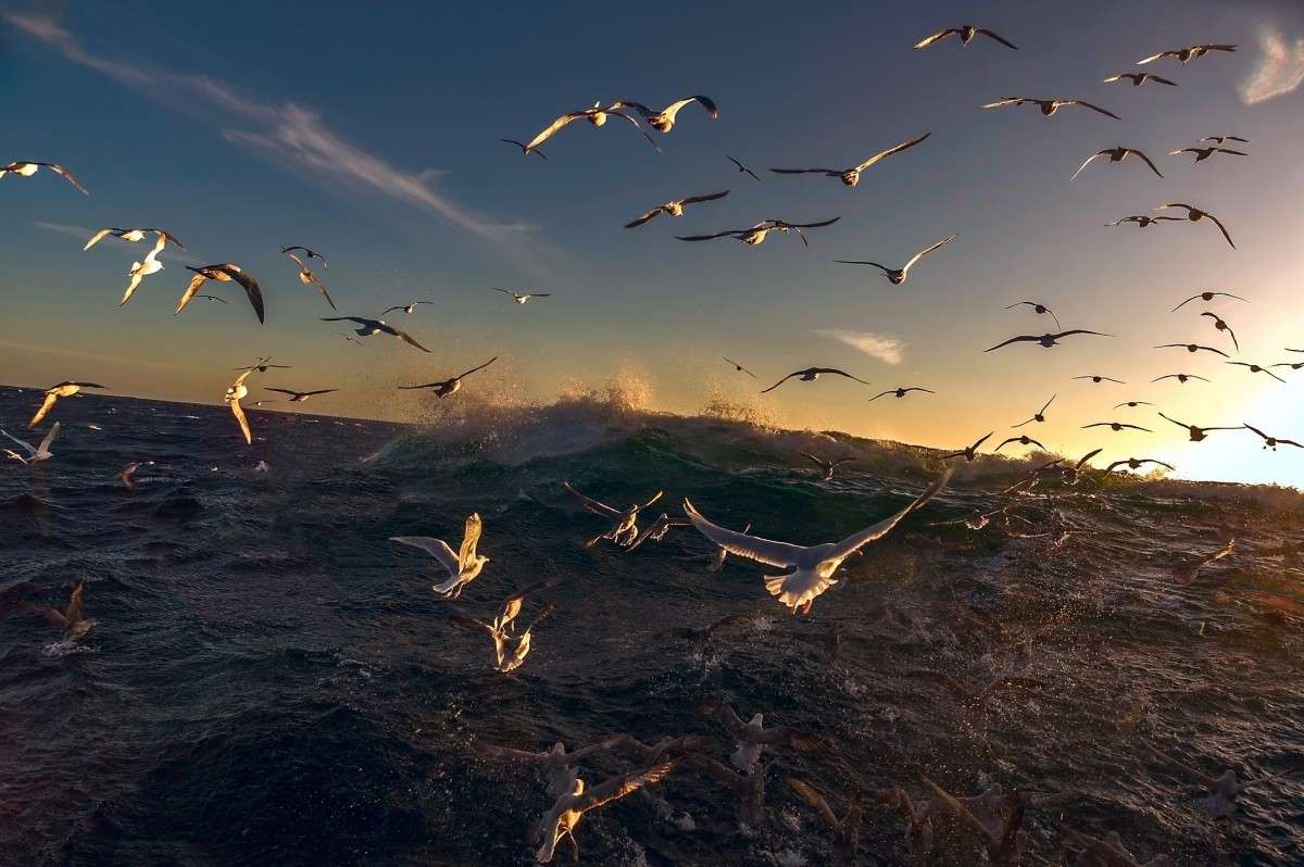 ����� ����� ���� ���������� �� PhotoGeek.ru #������ ��� �������