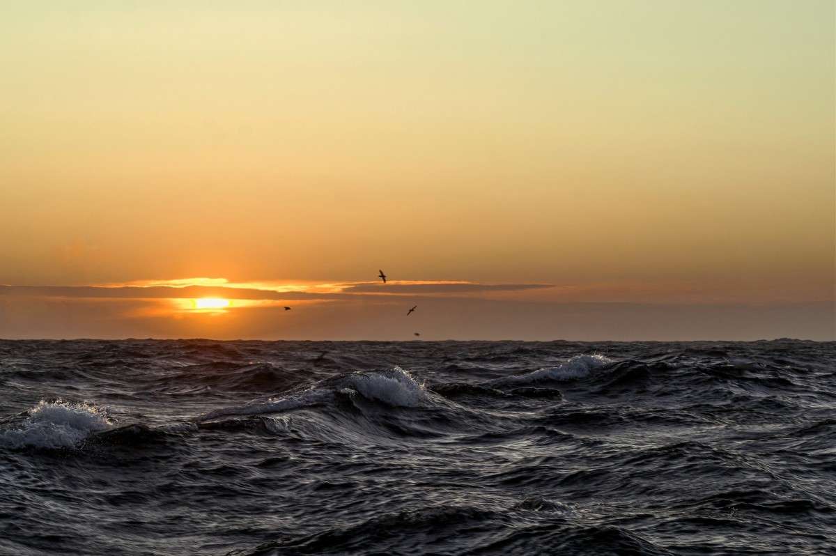 ����� � ���� ����� ���� ���������� �� PhotoGeek.ru #������ ��� �������