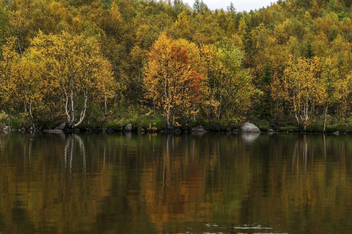 ������ ����� ����� ���� ���������� �� PhotoGeek.ru #������ ��� �������