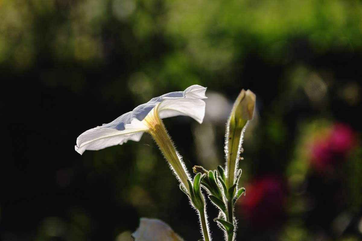 ������ ����� ���� ���������� �� PhotoGeek.ru #�����