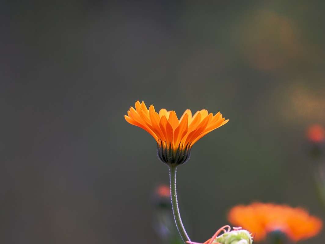 ��������� ����� ���� ���������� �� PhotoGeek.ru #�����