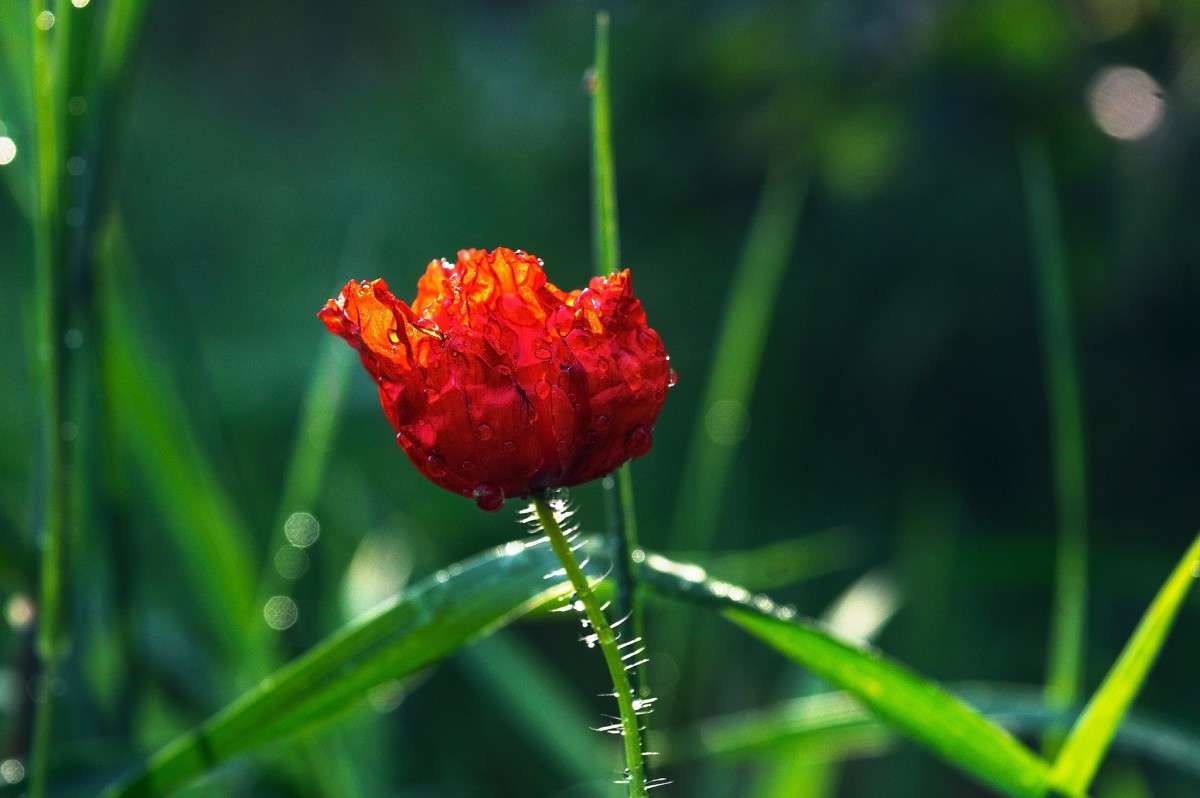 ��� ����� ���� ���������� �� PhotoGeek.ru #�����