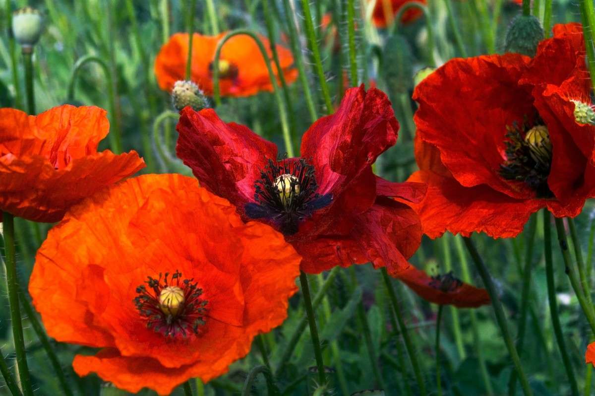 ���� ����� ���� ���������� �� PhotoGeek.ru #������ ��� ������� #����� ��������������