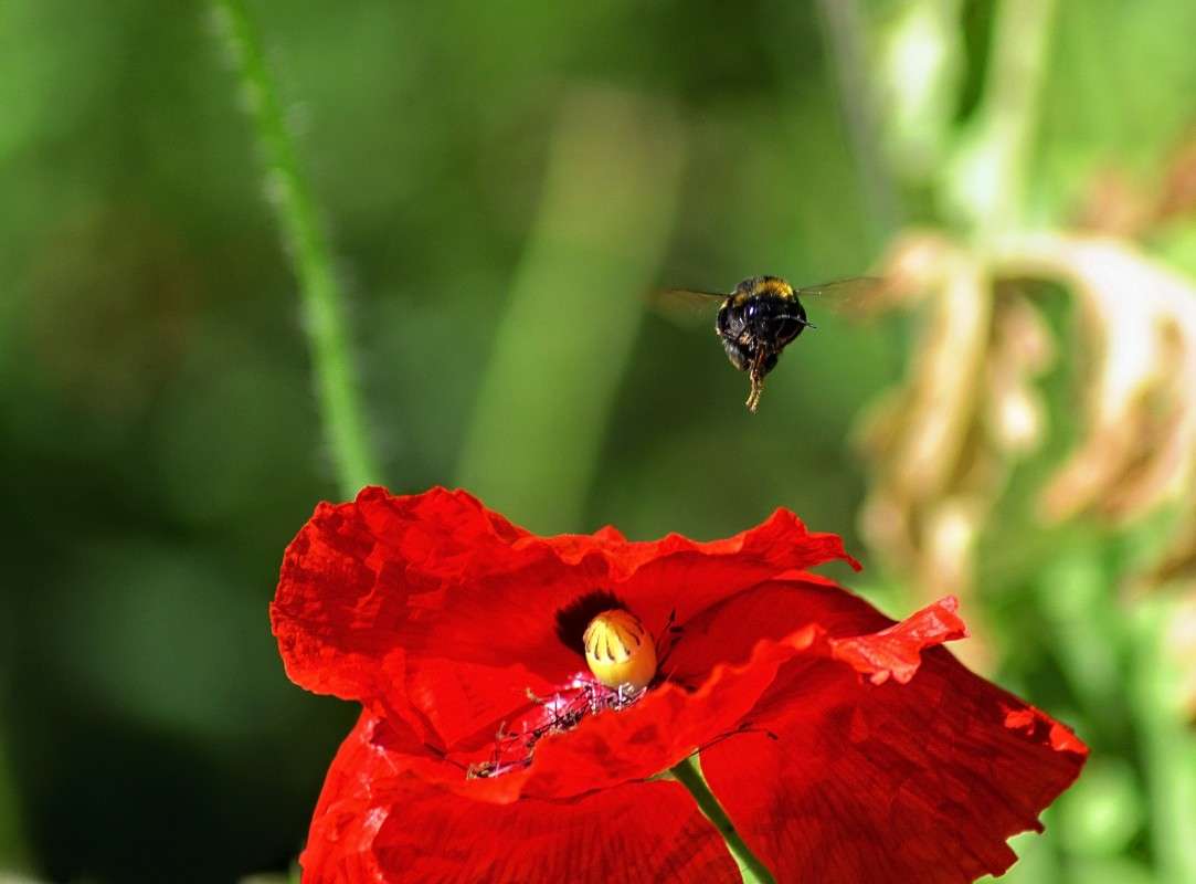 ��� ����� ���� ���������� �� PhotoGeek.ru #����� #����� ��������������