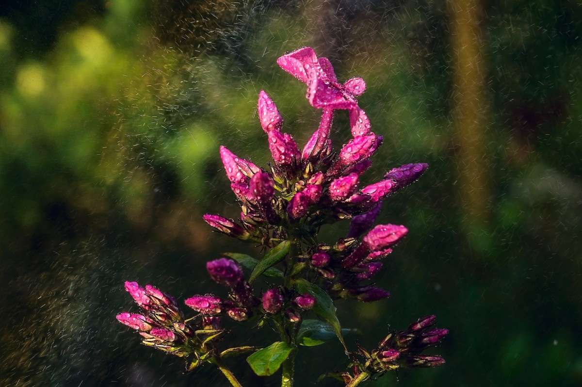 ������ ����� ���� ���������� �� PhotoGeek.ru #�����