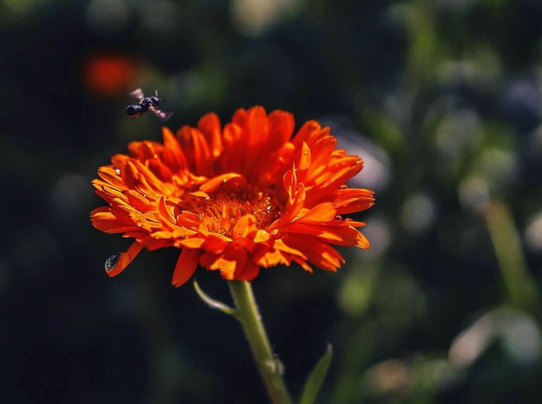 ����� ����� ���� ���������� �� PhotoGeek.ru #�����