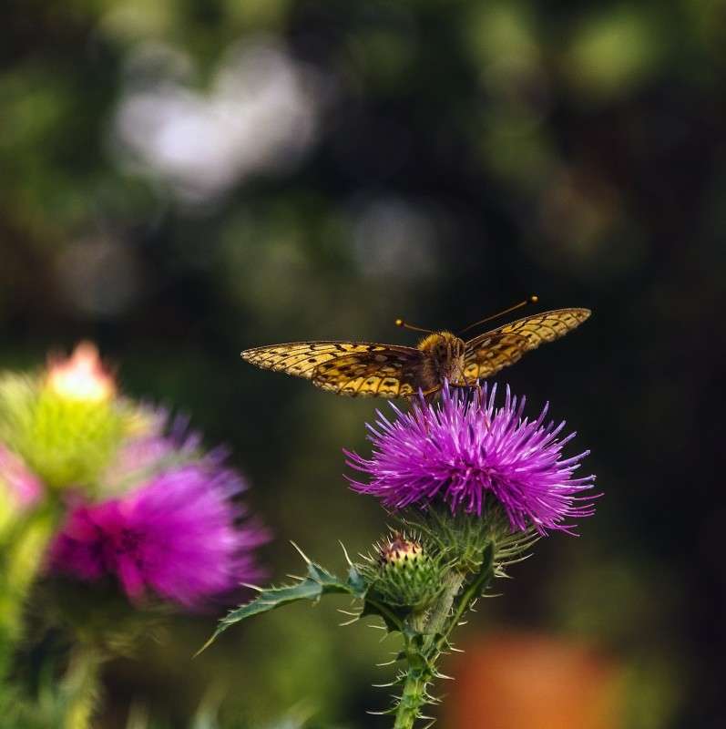 ... ����� ���� ���������� �� PhotoGeek.ru #�����