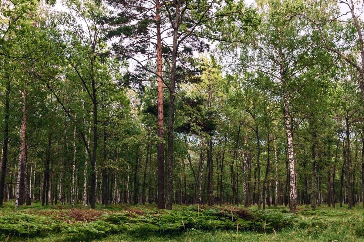 ��� ����� ���� ���������� �� PhotoGeek.ru #������ ��� �������