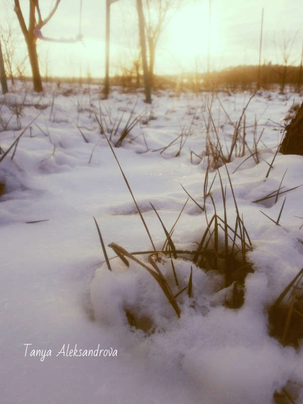 ... ����� Tanya Aleks �� PhotoGeek.ru #������ ��� �������