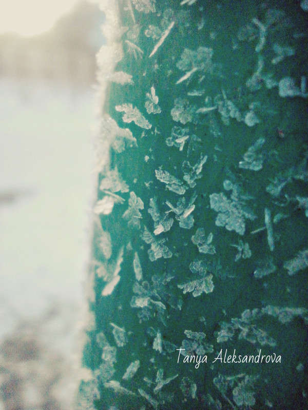 �������� ����� Tanya Aleks �� PhotoGeek.ru #�����