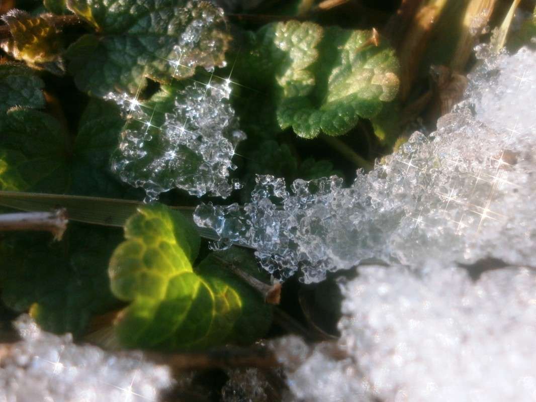 ������ ���� ����� Tanya Aleks �� PhotoGeek.ru #����� #����� ��������������